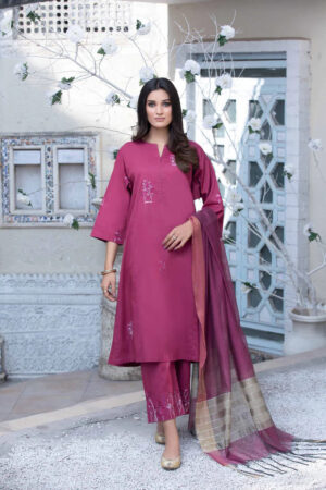 3 Piece – Embroidered Suit – PS23-13